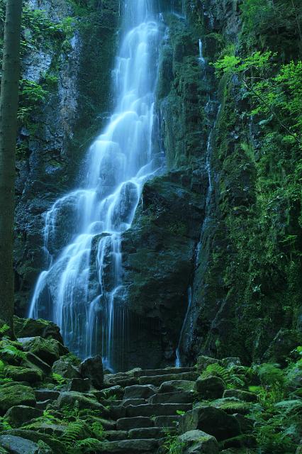 Kniebis 2009 Bild 37